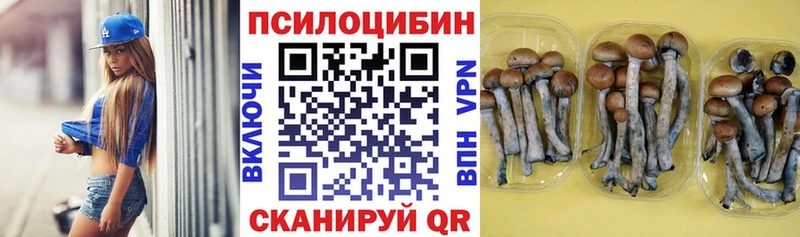 Галлюциногенные грибы Cubensis  Макушино 